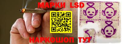 шишки Нарткала
