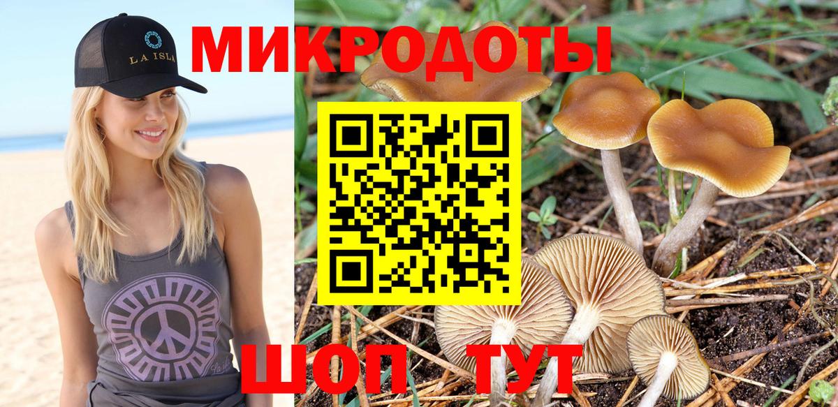 Азов  Псилоцибиновые грибы мухоморы  где можно купить   Вход с VPN 